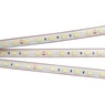 Лента светодиодная RTW 2-5000PS 24V White6000 2x (5060, 300 LED, LUX) (Arlight, 14.4 Вт/м, IP67)