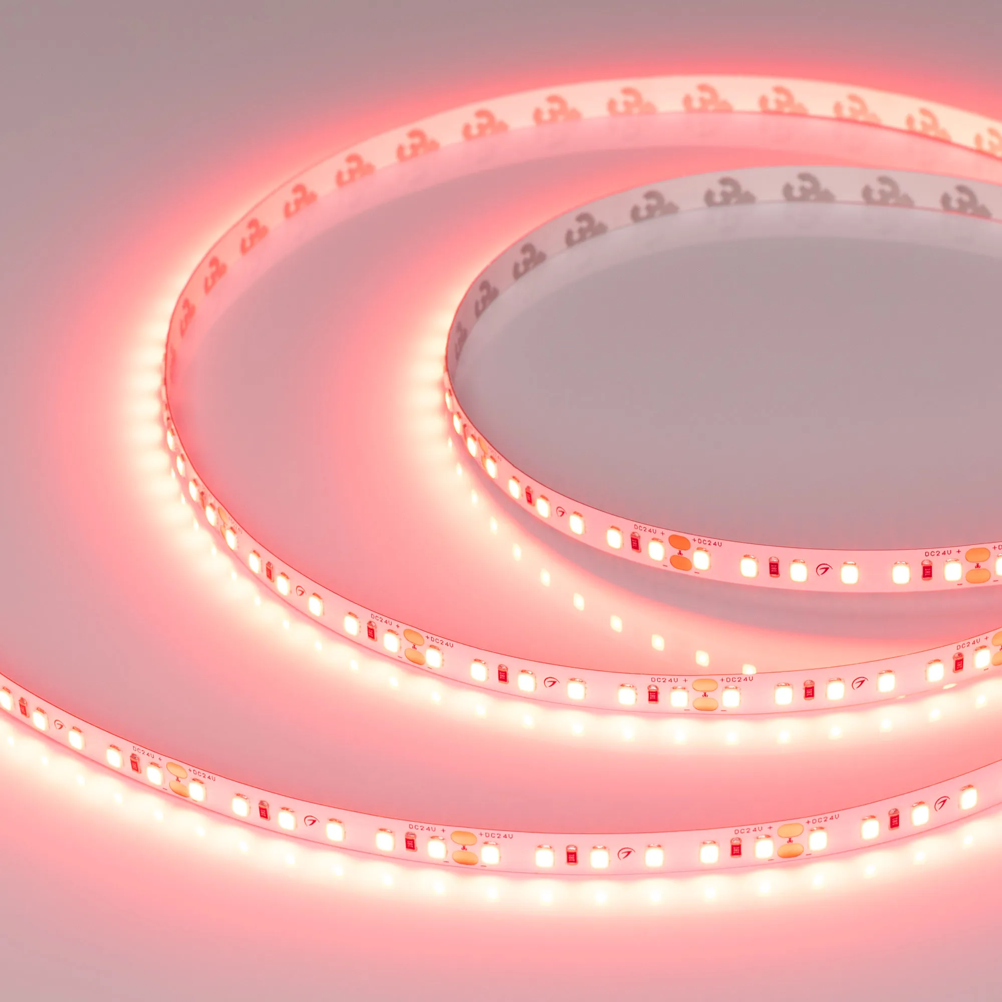 Лента светодиодная RT-A120-8mm 24V Scarlet (9.6 W/m, IP20, 2835, 5m) (Arlight, -) - изображение товара